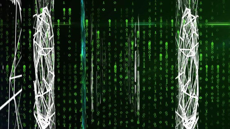 Animation of networks, binary coding and data processing