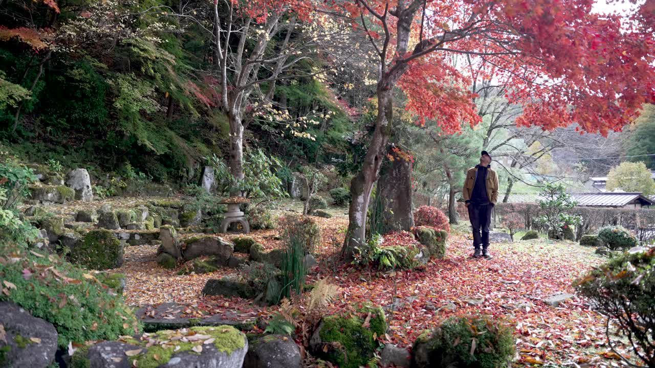 Tourist standing in a colorful autumn zen garden in Japan, surrounded by red maple leaves