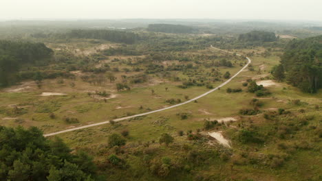 scenic view of a road amidst conservation area at zuid-kennemerland national park in netherlands