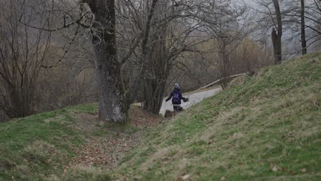 person hiking in forest with dog