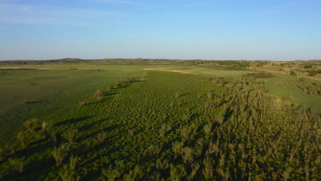 Open-grassland-plains-at-sunset,-aerial-reverse-dolly,-Mongolia