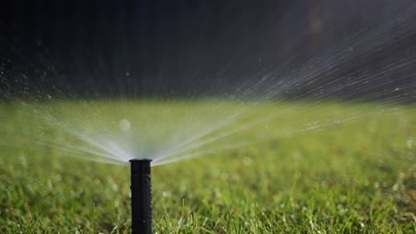 a stream of water under pressure irrigates the green lawn. slider 4k shot