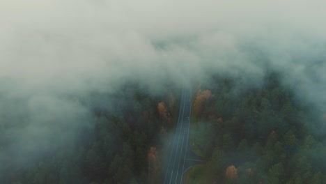 misty forest road