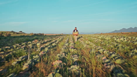 farm, landscape and drone of person walking