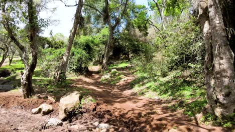 Primer-Plano-Panorámico-De-La-Estructura-De-La-Pared-De-Roca---Patrón-De-Superficie-Roca-De-Sedimentación-Decorativa---Estructura-De-Roca