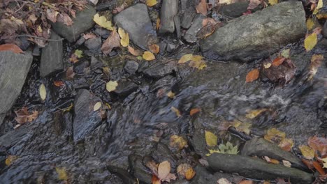 Wasser-Fließt-Durch-Felsen-Und-Blätter-Im-Herbst-In-Wissahickon