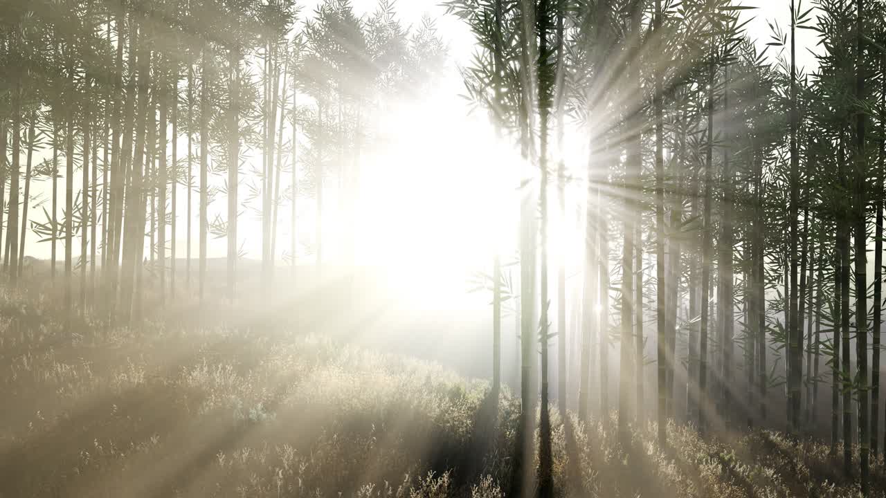 언덕 에 있는 초록색 대나무 숲