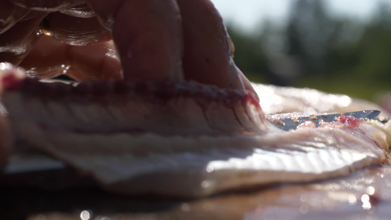 Handheld, closeup shot of a self-supporting man cleaning a Perch fish fillet outdoors, on a wooden cutting board, at a summer kitchen, shallow depth of field