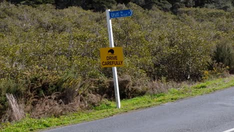 classic nz yellow road signpost indicating kiwis, native birds in the area, drive carefully, in the outdoors of new zealand aotearoa