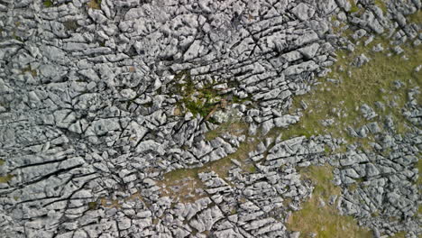 pavimento de piedra caliza se eleva revelando excursionista en la cima de una colina rocosa de páramos de yorkshire