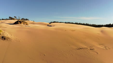 dolly en toma de drones de dunas de arena con árboles verdes en el fondo