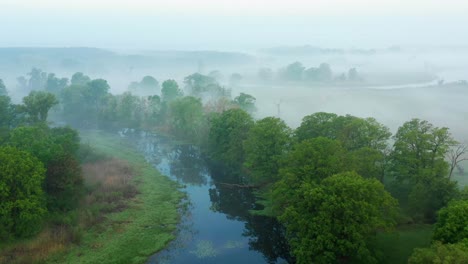 Morning-spring-fog-over-the-old-riverbed