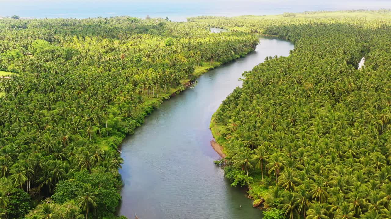 río tropical que fluye a través de interminables bosques densos en la provincia de san bernardo del sur de leyte, filipinas