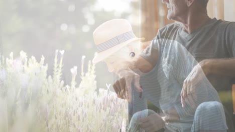 animation of happy senior caucasian couple over plants