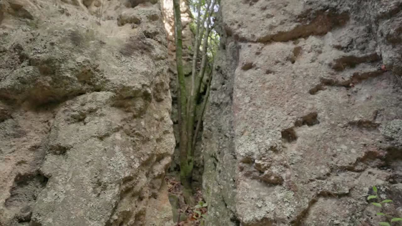 Slow camera tilt upwards inside a narrow rocky canyon showing trees and the sky above, natural park los estoraques, colombia