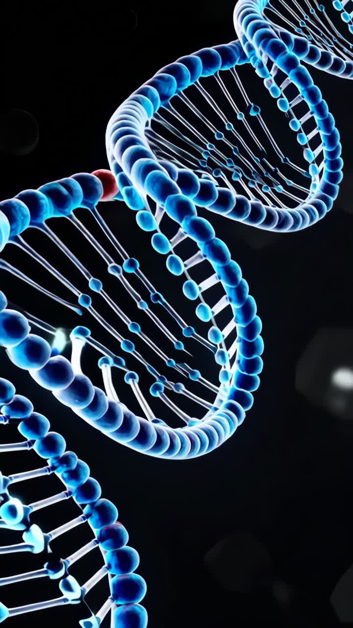 ADN en doble hélice