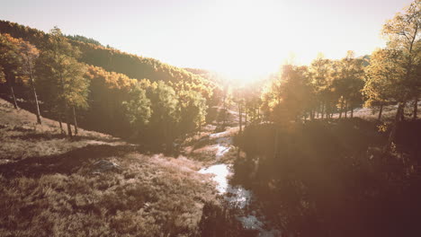 Heller-Sonnenuntergang-In-Den-Bergen-Mit-Gelbem-Wald