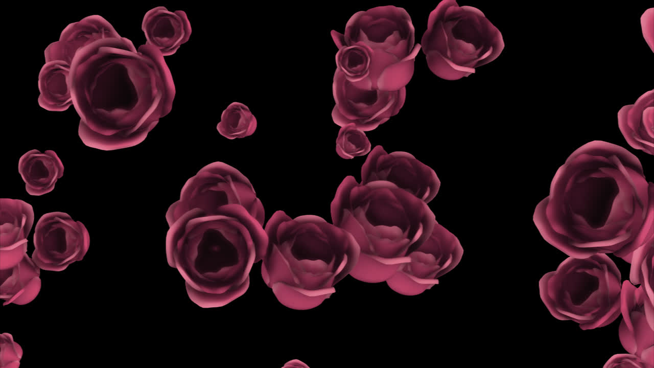 Pink Roses Falling on Black Background