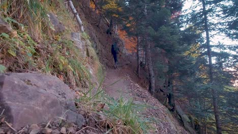 hiker man with trekking backpack walking uphill on trail in dark autumn woods in ordesa national park, spain