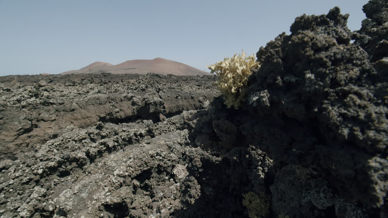 Paesaggio grigio e spento con rocce laviche a Lanzarote, Isole Canarie