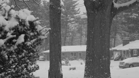 Los-Copos-De-Nieve-De-Enero-Caen-Con-Fuerza-En-Un-área-Suburbana