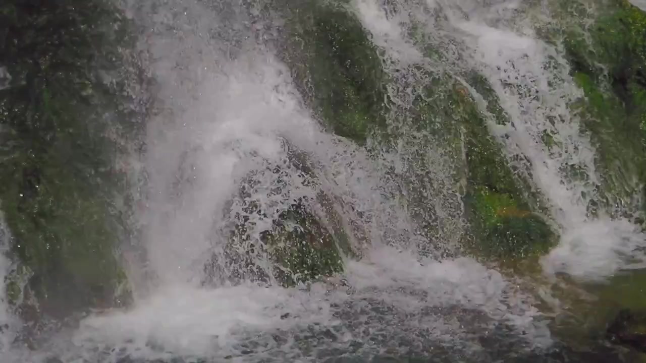 Close-up of Water Cascading Down Mossy Rocks in a Forest