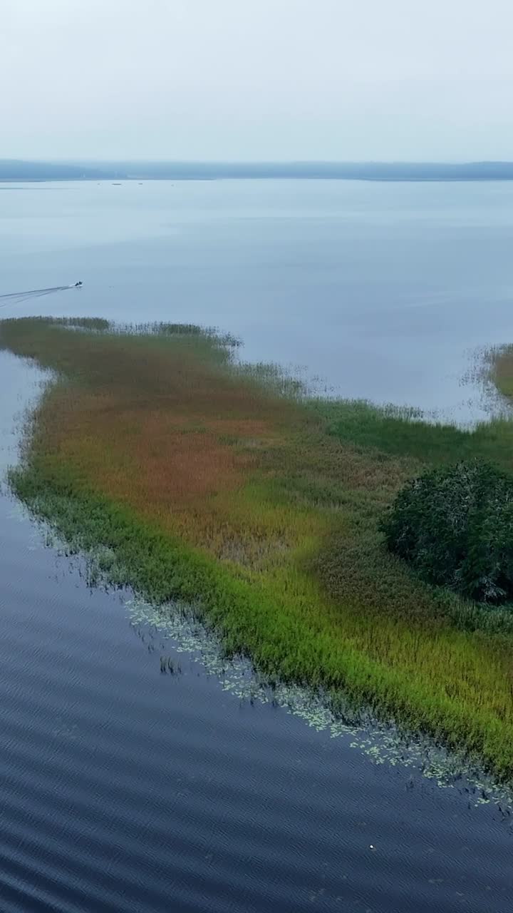 Perspectiva aérea vertical de uma península curva coberta de juncos e vegetação densa que se estende até as águas calmas do Lago Usma, em Kurzeme, com um barco ao fundo