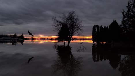 reflejo del espejo de una puesta de sol en un lago tranquilo mientras una gran cigüeña pasa volando