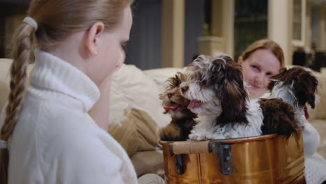 the child with his mother plays with small puppies, have a good time together