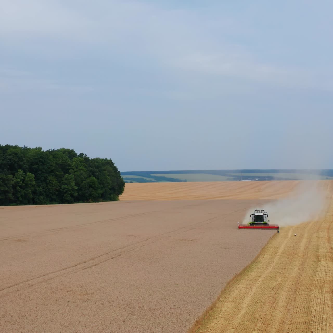 Approaching combine harvester in the ripe barley field. Heavy smoke produced by the machine. Farmlands and forests at the backdrop