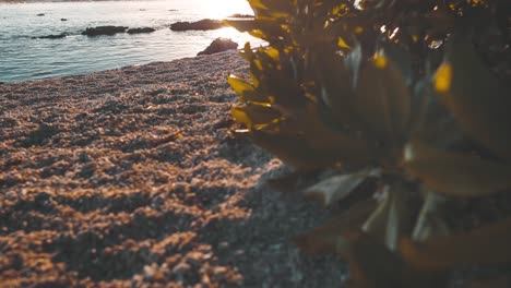 Zeitraffer-Von-Moorea-Beach-Auf-Slider