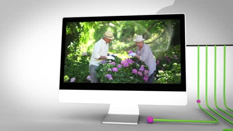 Retired-couple-gardening