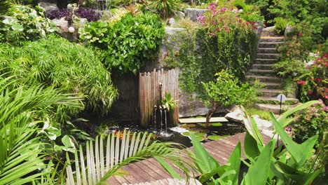 tropical garden with water feature and pond