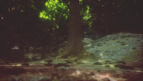 Beautiful-Bright-Green-moss-grown-up-cover-the-rough-stones