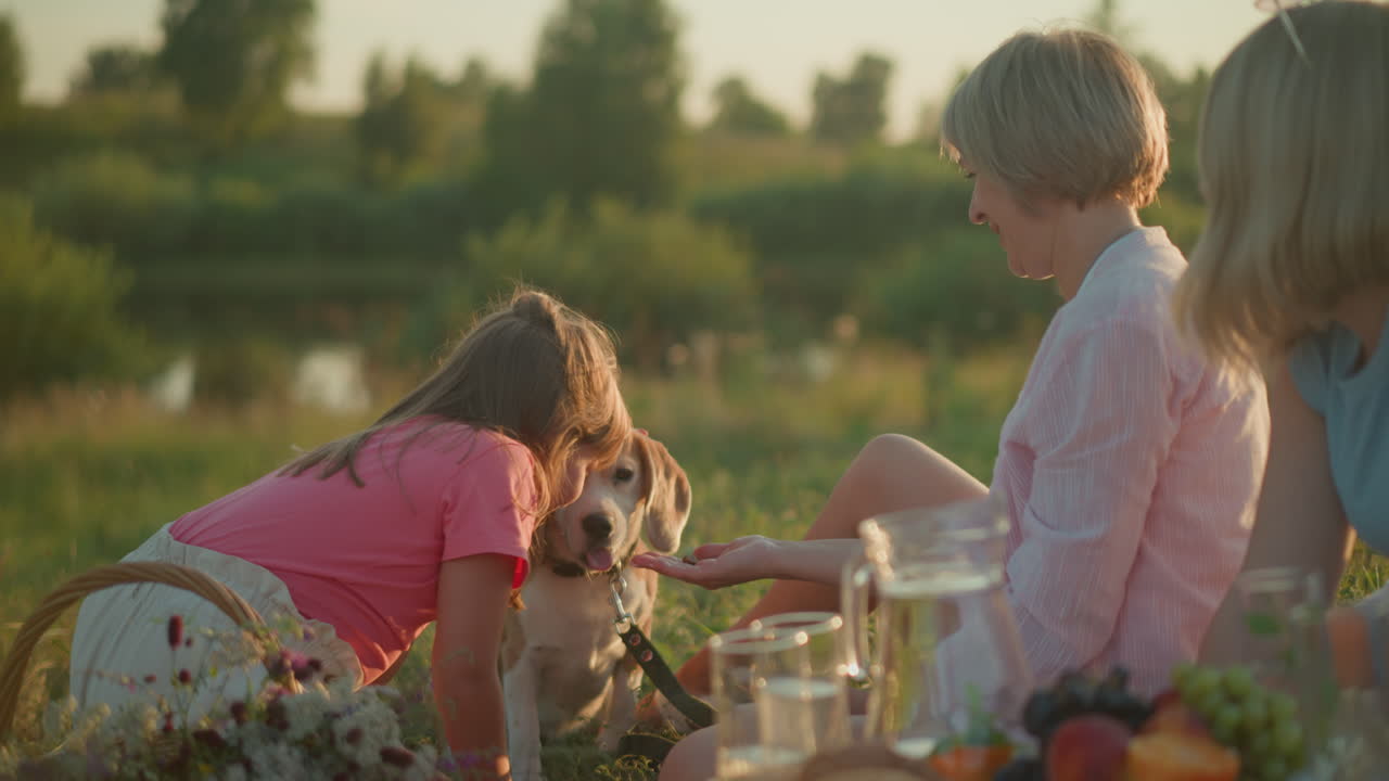 은 날에 야외 피크닉을 즐기는 가족과 작은 소녀가 그녀의 이모가 애정으로 지켜보는 동안 그녀의 개를 장난스럽게 만지고, 음식, 꽃, 그리고 시골의 기으로 둘러싸여 있습니다.