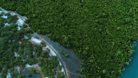 aerial-view-of-the-mangrove-swamps-,-city-of-Dar-es-Salaam