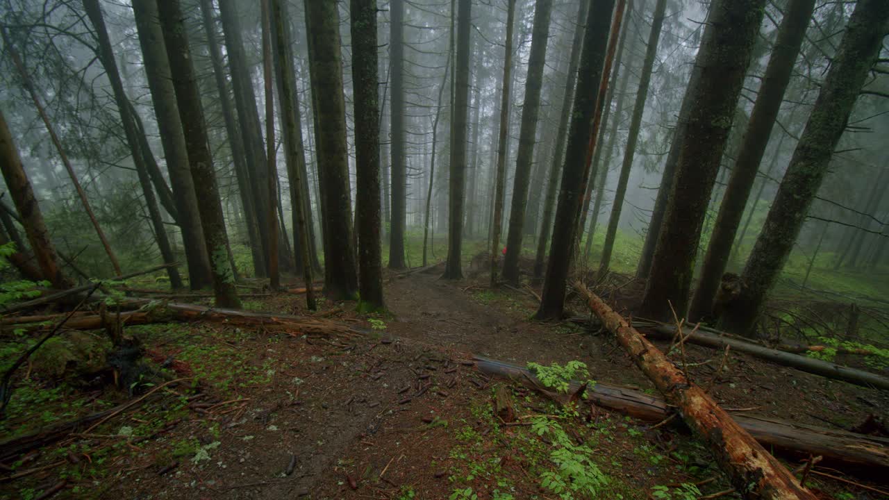 Mountain biker drops down steep chute in a foggy forest