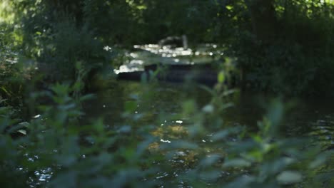 Fokus-Ziehen-Sie-Von-Den-Englischen-Brennnesseln-Im-Vordergrund-Zum-Fließenden-Fluss