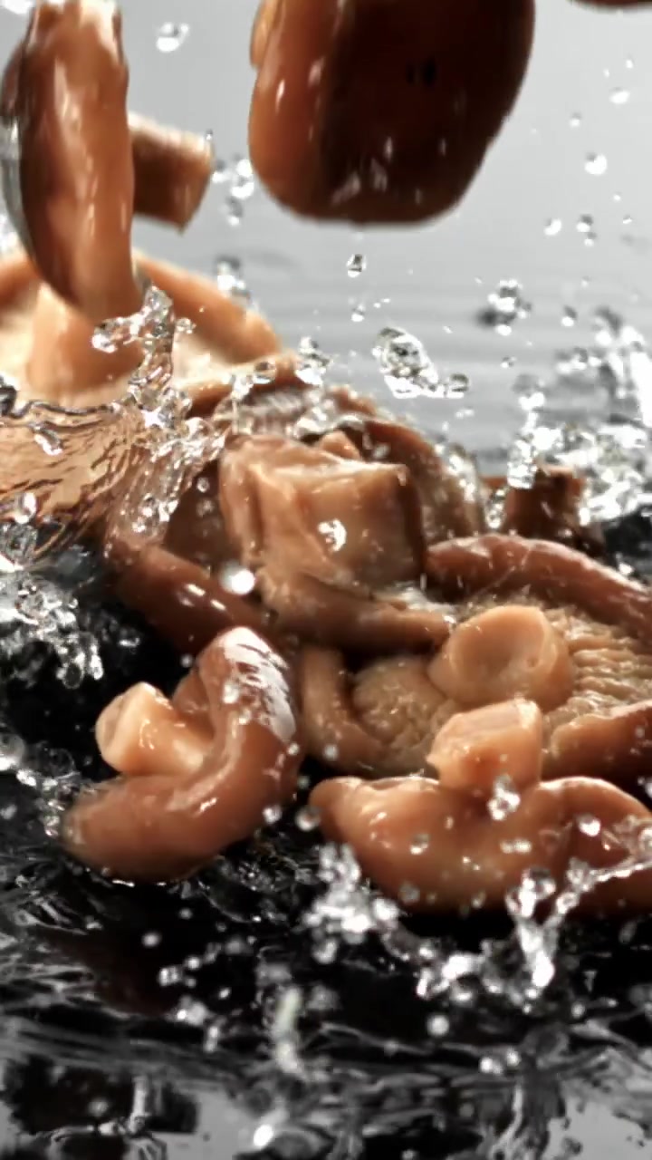 Slow Motion Shot of Fresh Mushrooms Falling into Water