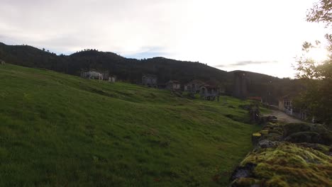 Caballo-Blanco-En-Un-Paisaje-Rural