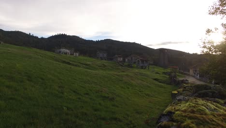 white horse in a rural landscape
