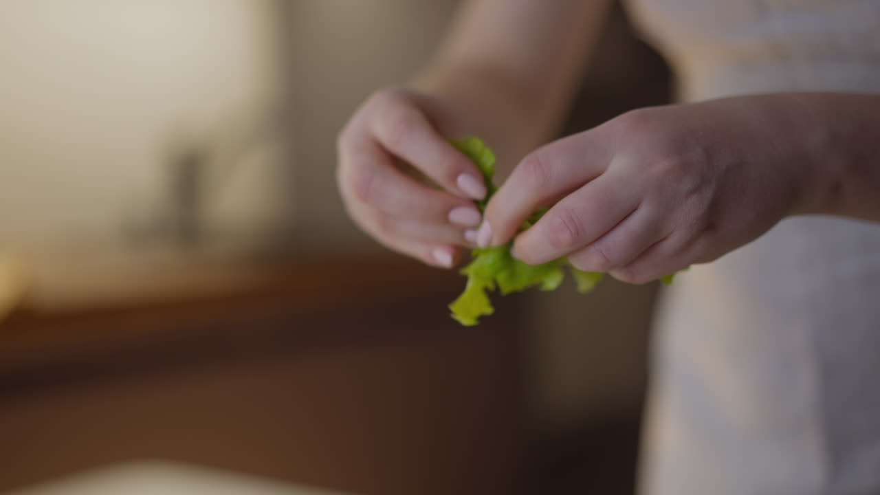 las manos de la mujer rompen la lechuga preparando ensalada para seguir la dieta