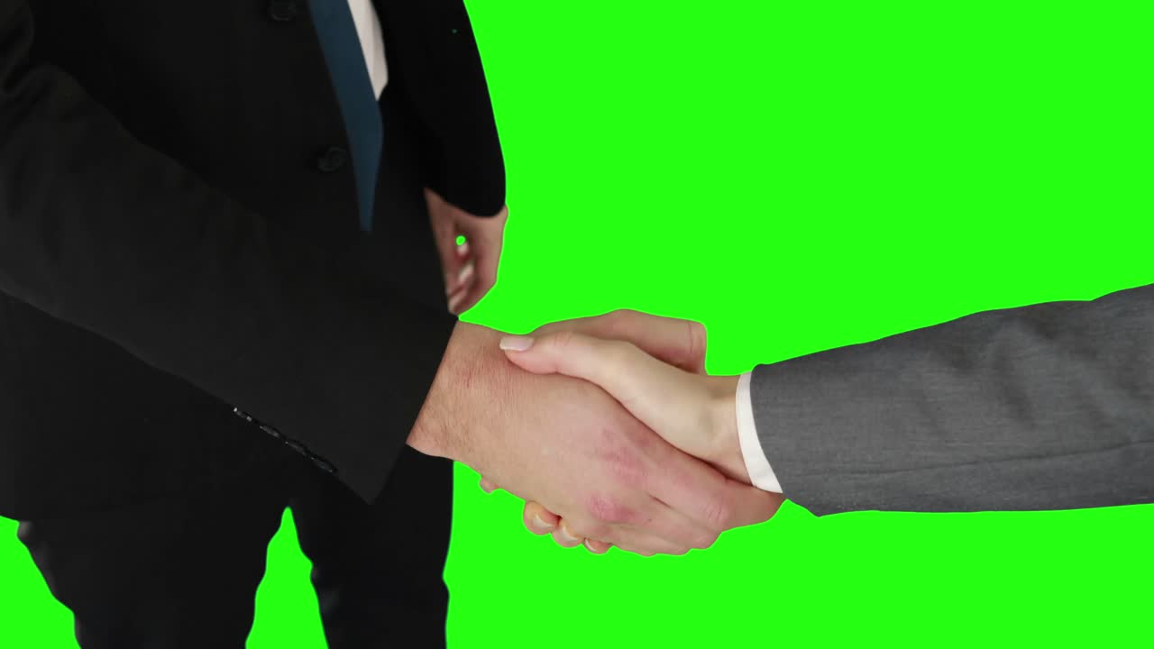 Business people handshaking