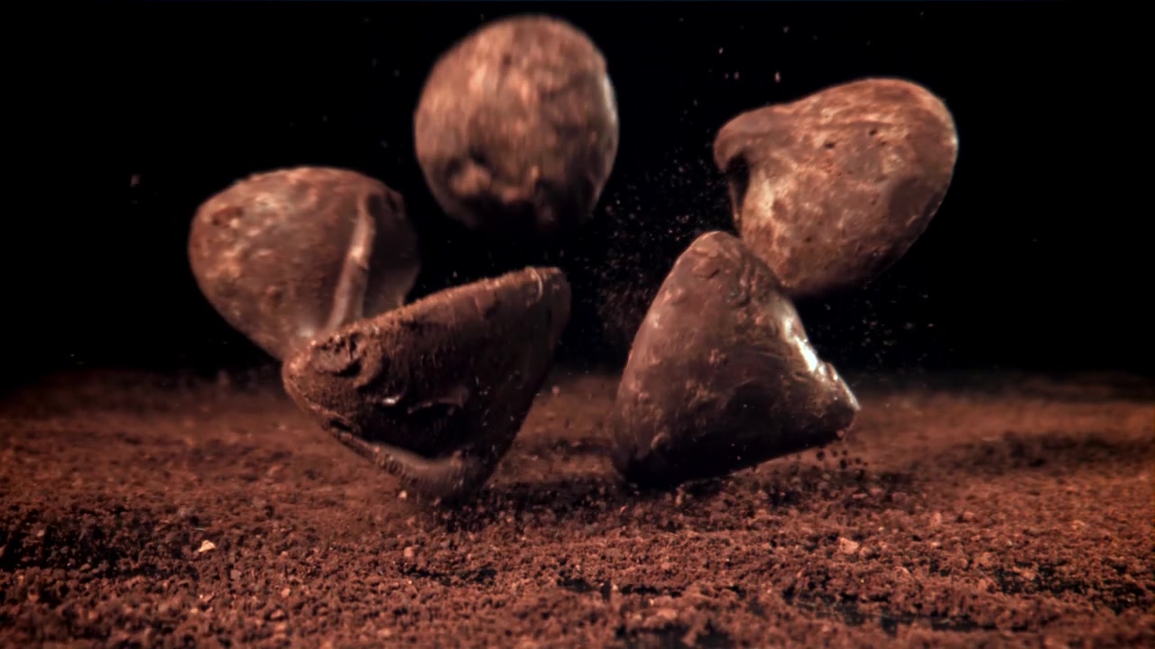 Delicious Chocolate Truffles Falling onto Cocoa Powder in Slow Motion