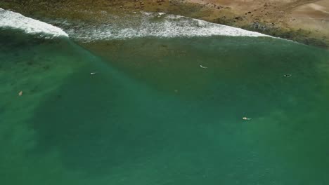 Cinematic-flyover-surfers-waiting-to-catch-the-next-wave-along-shallow-reef