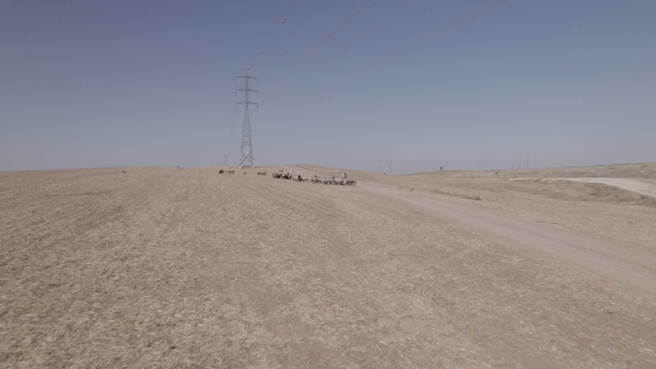 Aerial view of Female shepherd with sheep in a remote desert area, near large power poles and a cargo train track, dry land without crops, push in shot-1