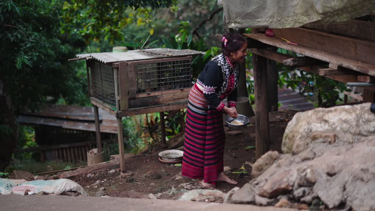 Woman in traditional clothing feeding animals in a rural village