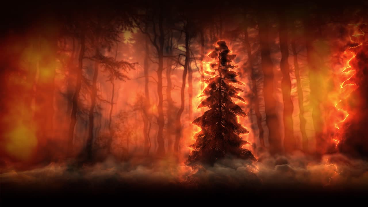 Inferno in the Forest: Trees Consumed by Flames and Shrouded in Thick, Rolling Smoke