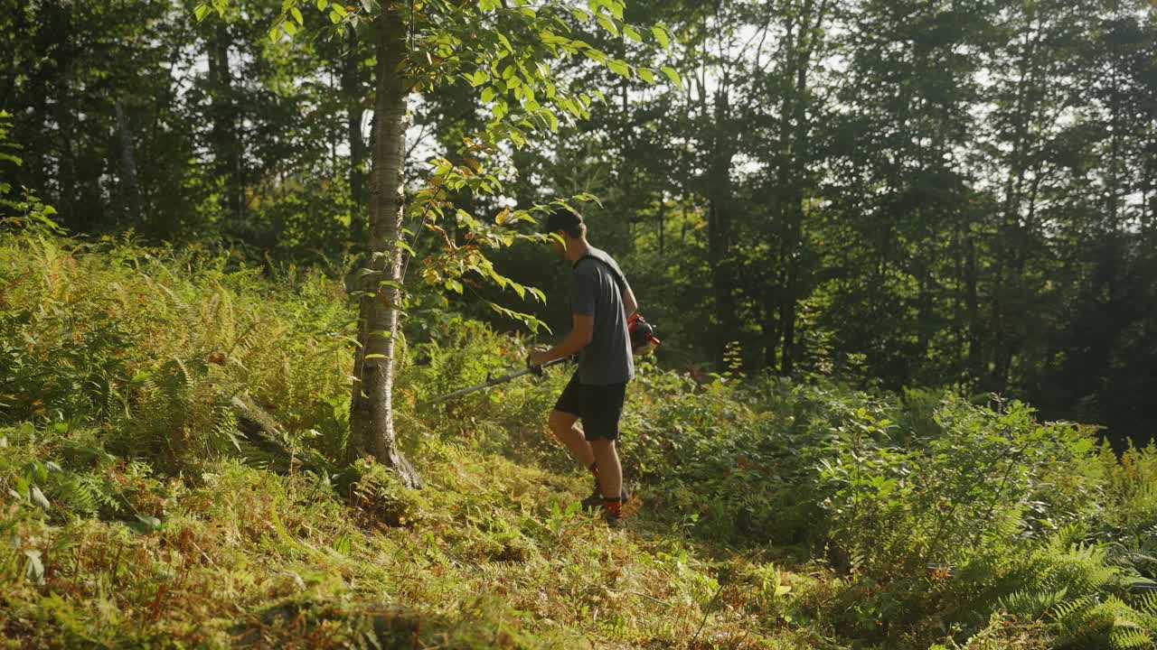 Landscaper clearing section of forest using string trimmer (Slow Motion 4k 30p)
