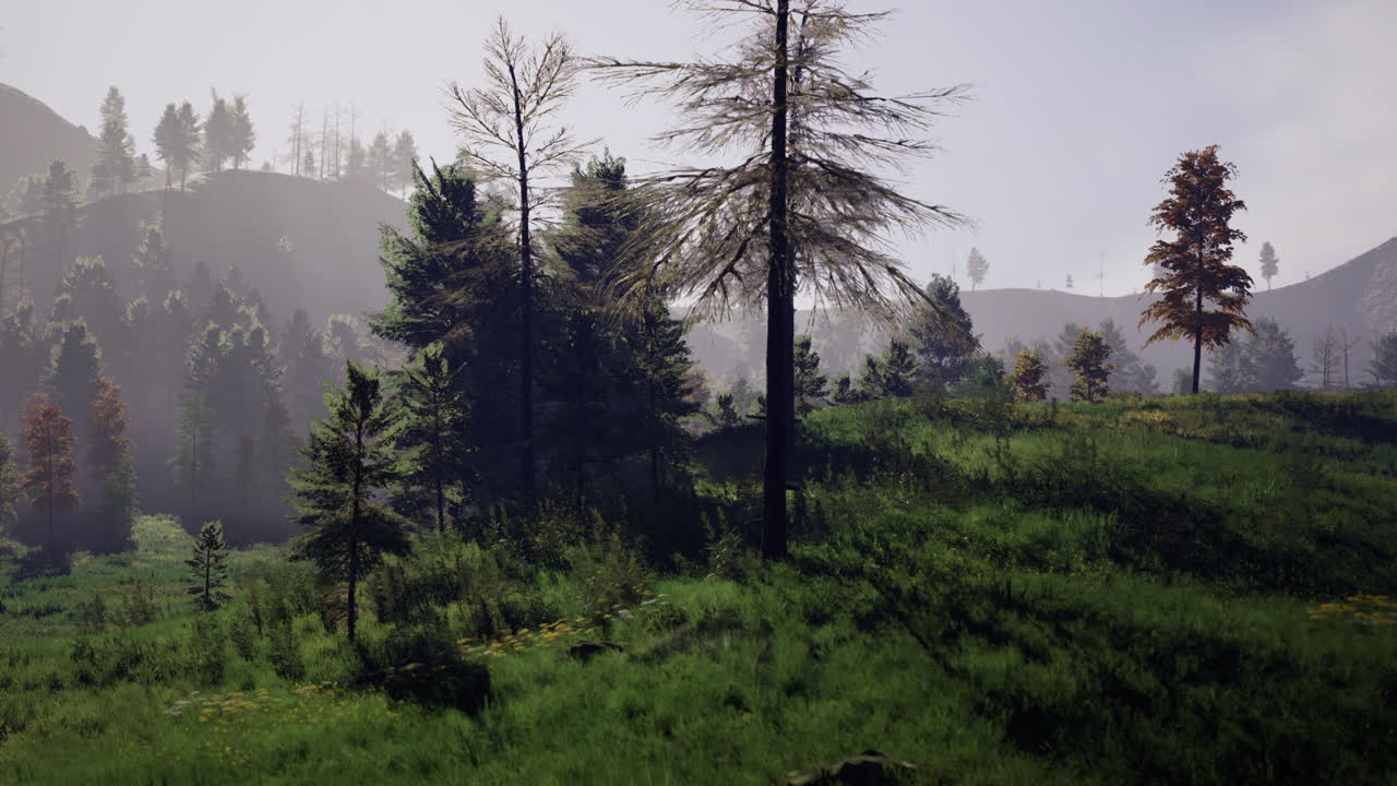 조용 한 환경 에서 부드러운 아침 빛 아래 나무 들 이 있는 울창 한 초록색 풍경